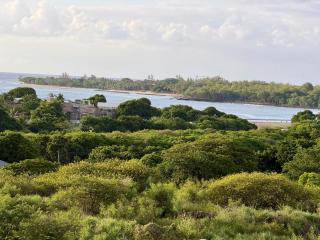 Apartment in Tamarin - 7