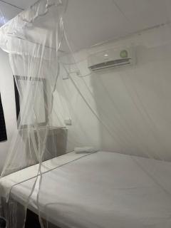 Puravida surf & stay - 7