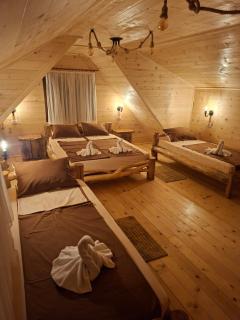 Tiski Labud Apartmani - 9