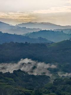Bwindi Neckview Lodge - Buhoma - 9