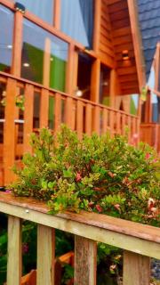 Sunflower Villa Dieng - 1