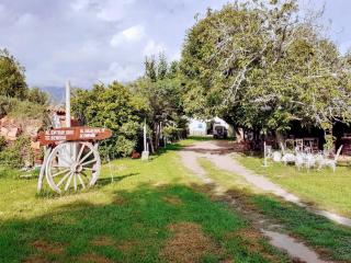 Chalets Seis Cabañas - 8