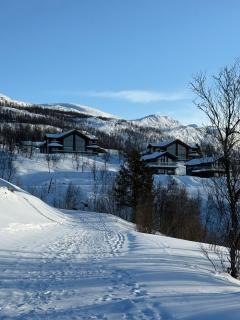 Målselv Fjellandsby Nordlyshytte - 8