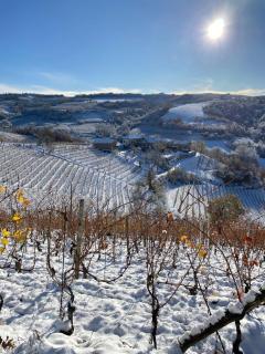 Agriturismo La Ruota - 3