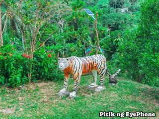 Manga's swimming pool - 9