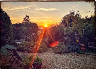 La Fonte e l Ulivo - 1