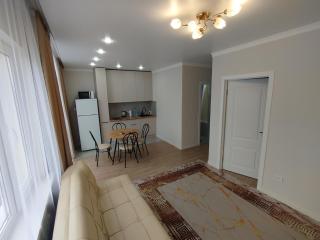 2 комн квартира возле Думан-2 - 5