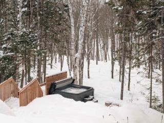 Chalet MonVue - Serenity in the Heart of Nature - 7