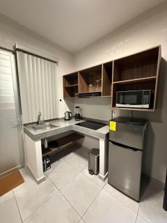 Beautiful Downtown Suite 04 - 0