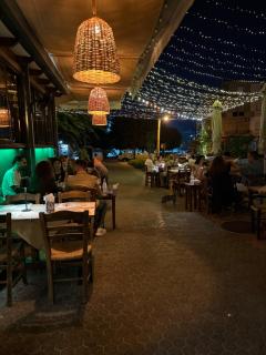 Calma Garden Retreat -10' Walk to Center - 7