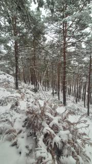 Château de la rivière - 9