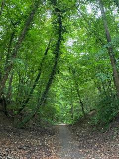 Château de la rivière - 8