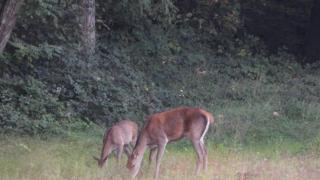 Château de la rivière - 3