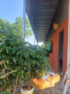 Homestay with garden Lucky home - 5