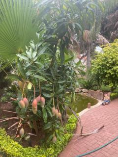 Home Very Close To CBD - 6