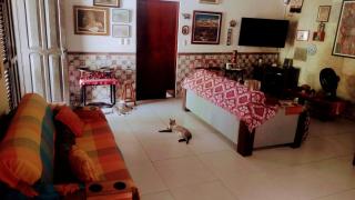 Quarto em Casa dos Gatos - 1