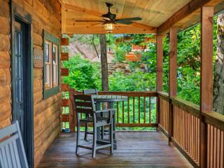 The Three Dog Night Cabin - Bryson City - 4
