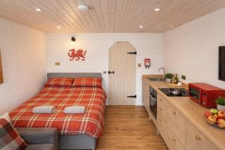 Abergwynant Farm Glamping & Apartments - 3