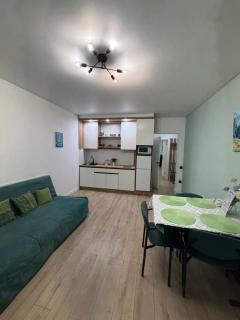 Apartment in the center of Almaty - 3