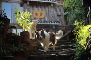 Tong Sang Art Hotel - Liping - 2