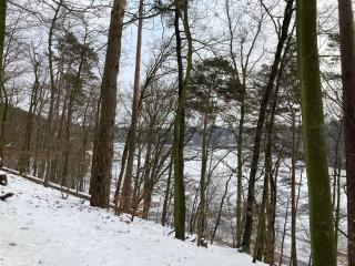 1,5 Zimmer am See, for business travellers only - 5