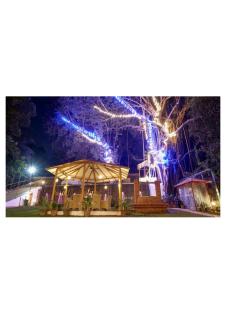 2BHK Apartment in Goa - 360 Bliss - 1