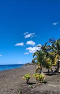 Tropical Golden appart, vue mer et plage à 5 min à pied - 9