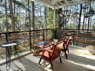 Snghe's Măng Đen Villa - 3