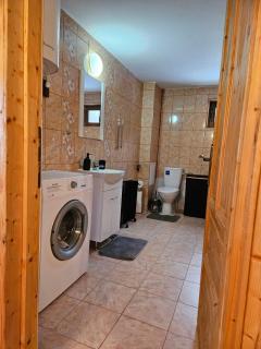 Apuseni Wood House - 1