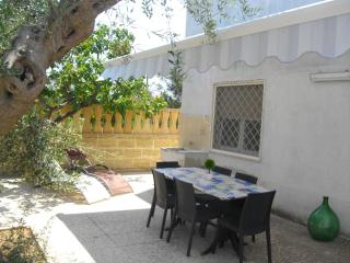 Appartamento Ulivo con giardino a Torre Suda - Apulia Home - 8