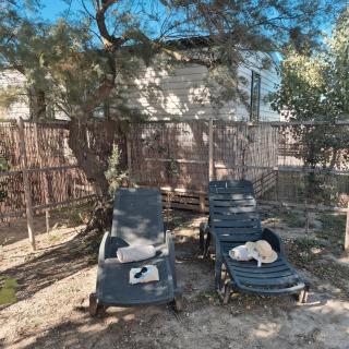 Le Cosy Mobil Home à 150m de la Plage Camping 5 etoiles Les Dunes Parc Aquatique - 5