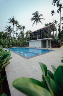 Manayath Wayanad Premium Pool Resort - 7