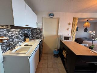 Appartement cosy avec balcon, animaux admis, parking - FR-1-503-172 - 3