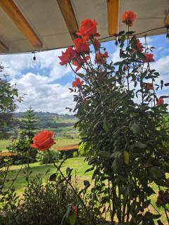 Cabaña Campestre Montreal - 7