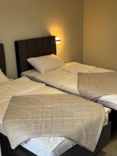 Hotel Elena Solotvino - 2