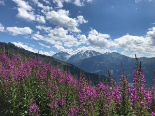 Perfect flat in 4 Valleys - 8