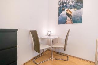 Simple 2BR Apt near Belvedere Palace - 7
