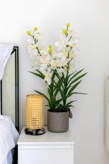 L'échappée Parisienne - 7