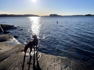 Large house with pool and close to the sea - 7