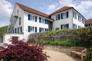 NEWTON - für Business & längere Aufenthalte, nahe der Schweiz - 1