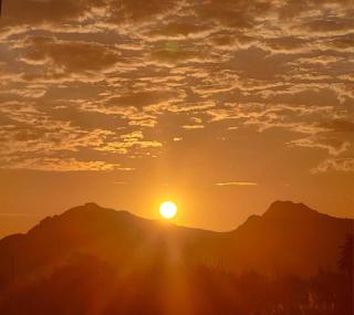 Résidence port Calvi- Apartment T3 sea view - 5