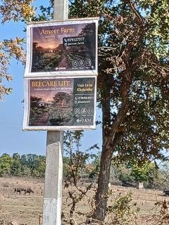 Nature-Inspired Sanctuary - BeeCare Life Farm - 1