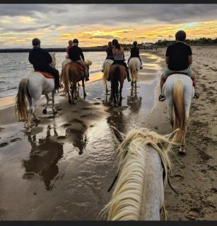 JOUBLIE TOUT! CLIM CALME BORD de MER SHOPPING ACTIVITES WIFI 2 PARKING MENAGE INCLUS 8 personnes - Vias - 4