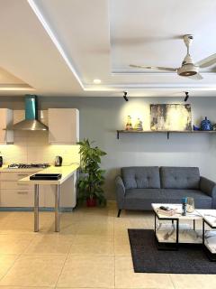 The Greyline Loft 1BHK Apartment - 5