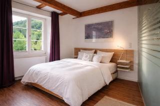 Exklusive LOFT-Wohnung, nur 30 Min von Zürich - 4