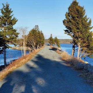 Cozy Ocean Retreat 2 Min Walk to Surf - 9