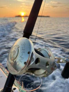 Vaadhee Homestay - 4