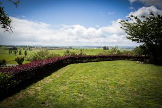 Waitomo Orchard Estate B&B - 7