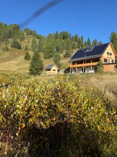 Ferienwohnungen Zwergbirke - Thomatal - 8