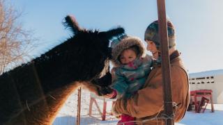 Crowne Plaza Hotel Moncton Downtown by IHG - 5